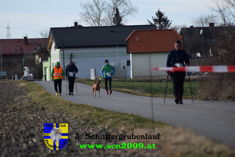 49575533473_9114ede001_c.jpg
